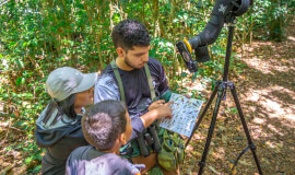 Monteverde Cloud Forest Biological Reserve Guided Day Walk